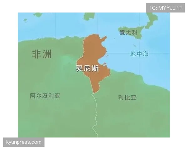 突尼斯门将位置谁最关键？